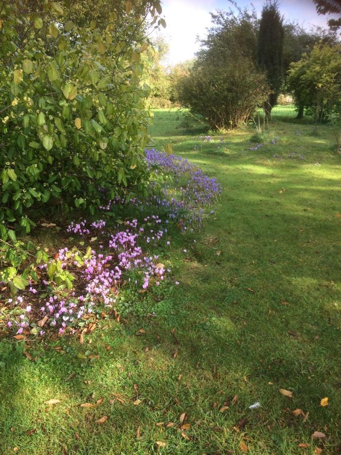 Teigh Old Rectory Bed & Breakfast Oakham Bagian luar foto